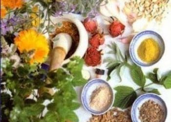 Kürdistan’daki Şifalı Bitkiler-2