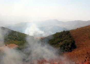 Ekoloji ve Barış