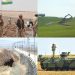 KDP-TC’NİN ROJAVA İŞGAL PLANI