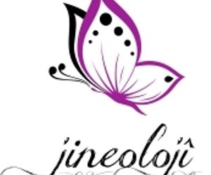 JİNEOLOJİYİ NASIL ELE ALMALIYIZ ?
