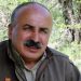 Mustafa Karasu Yazdı – OKUL BOYKOTUNUN ANLAMI!