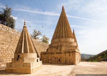 Şengalê bexçeyê paşî nîne