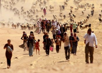 Şengal’i Şengalliler yönetmeli