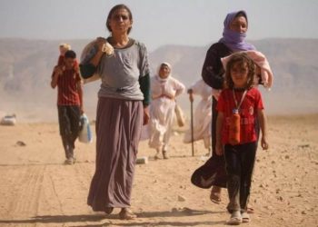 ‘YPJ’ê 601 jinên Êzîdî ji destê DAIŞ’ê rizgar kir’