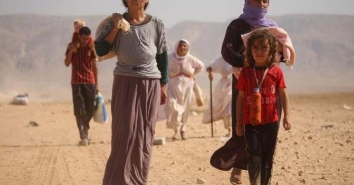 ‘YPJ’ê 601 jinên Êzîdî ji destê DAIŞ’ê rizgar kir’