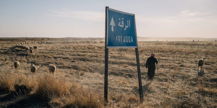 Rakka sonrası