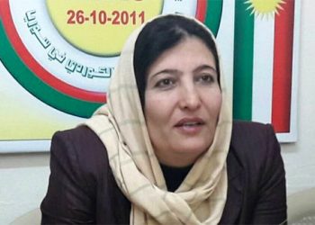 ENKS, Daxwaza MSD`ê ya Sûriyeke Demokratîk û Biratiya Gelan Xirap Dibîne
