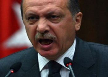 Diktatörlüğün Çöküşü