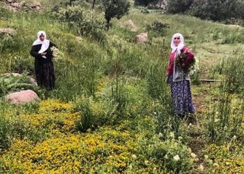 Erkek Egemen Sistem Kadın Kültürüne ve Özgürlüğüne Karşı Savaş Sistemidir