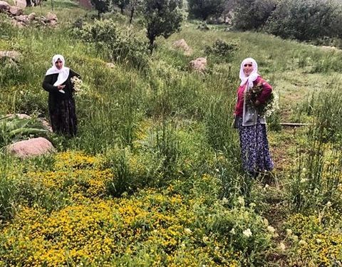 Erkek Egemen Sistem Kadın Kültürüne ve Özgürlüğüne Karşı Savaş Sistemidir