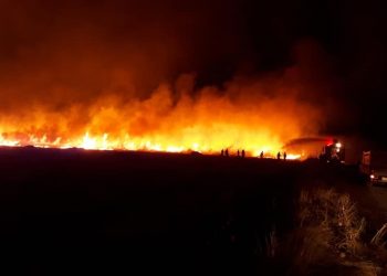 Li Herêmên Kurdistanî Mehekê de 37 Hezar Donim Zevî Şewitîn