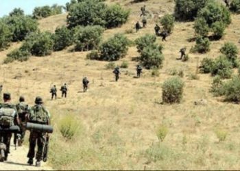 İşgalci Türk ordusu, Tendürek’te pusulama faaliyetinde