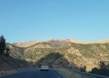 Mesif'teki Kirli İttifakın Devamı: Zînî Wertê