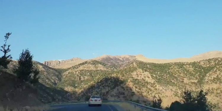Mesif'teki Kirli İttifakın Devamı: Zînî Wertê