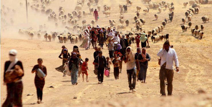 Türk Gladiosunun Kürtler İçindeki Kolu