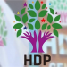 HDP’yi Kapatma Çabaları