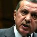 FAŞİST ŞEF ERDOĞAN NE YAPABİLİR?