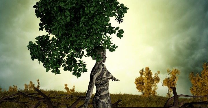 Doğa ve Kadın’ Arasındaki Güçlü Bağa Saldırı