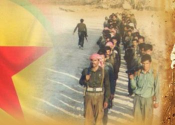 Özgürlük Hareketi Büyük Bir İnsanlık Devrimi Gerçekleştiriyor