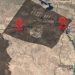MÎT Çeteyên DAIŞ ê Ji Antakya Derbasî Iraqê Dike- NÛÇE TAYBET