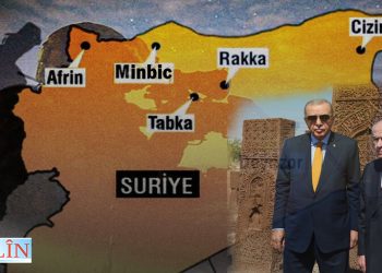Mirîşka Birçî Xwe Di Ambara Genim De Dihesibîne!
