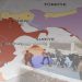 HTŞ, Ciwanên Elewî Bi Zorê Bi Çek Dike- NÛÇE TAYBET