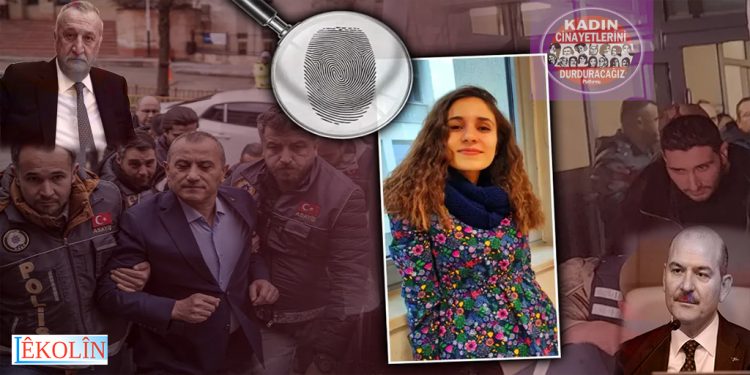 Dosya ya Gulîstan Doku: Windabûn, Guman û Pirsên Bêbersiv